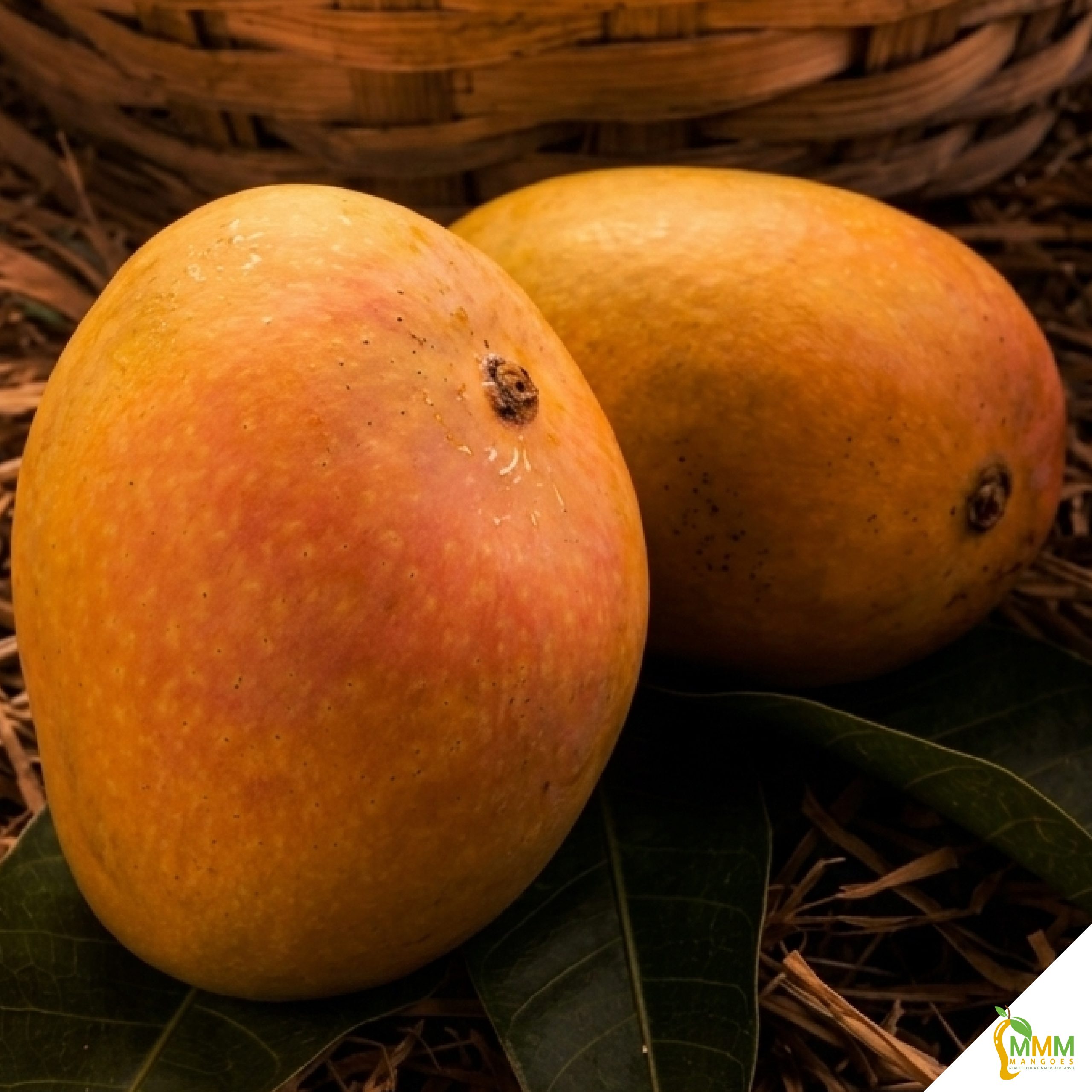 Ratnagiri Alphonso Mangoes ( Order by Dozen)